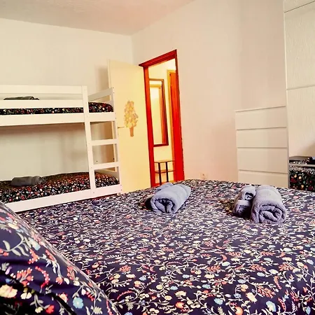 Pora 5 Sulle Piste Da Sci - Box - Pet Friendly *