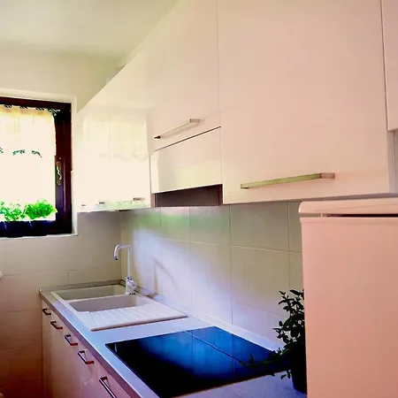 Apartment Pora 5 Sulle Piste Da Sci - Box - Pet Friendly Malga Alta